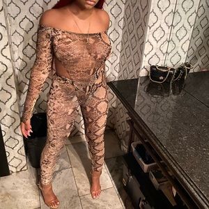 Mesh Snake Skin Printed Two Piece Set